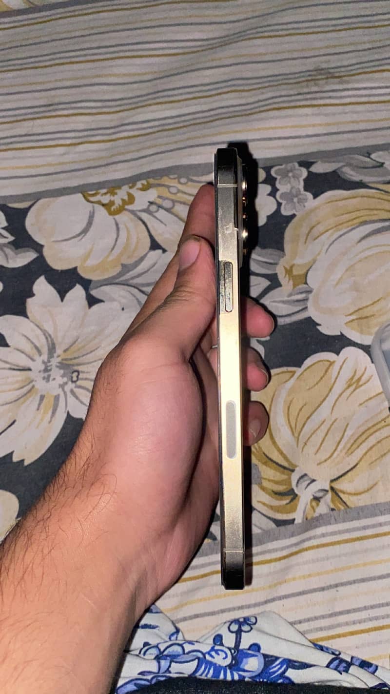 Apple iPhone 13 Pro Max 2