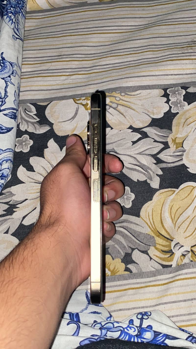 Apple iPhone 13 Pro Max 3
