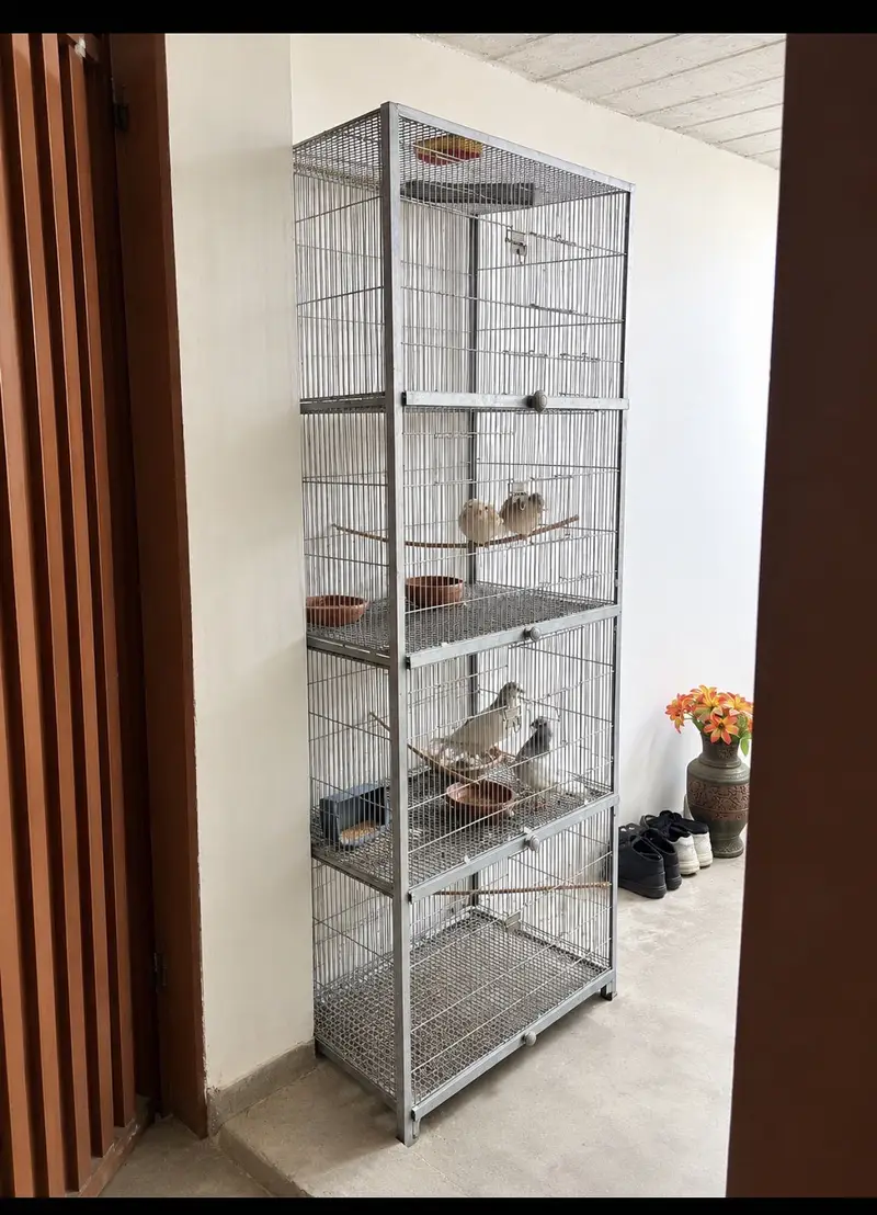 Metallic Birds Cage