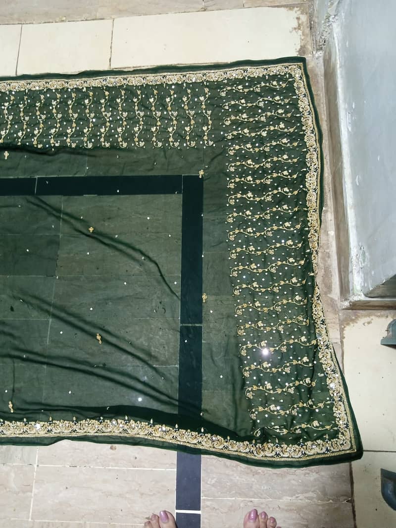 green saree 3