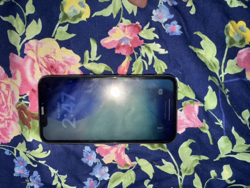 Apple iPhone 11 0