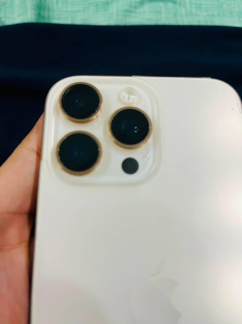 Apple iPhone 16 Pro Max 1