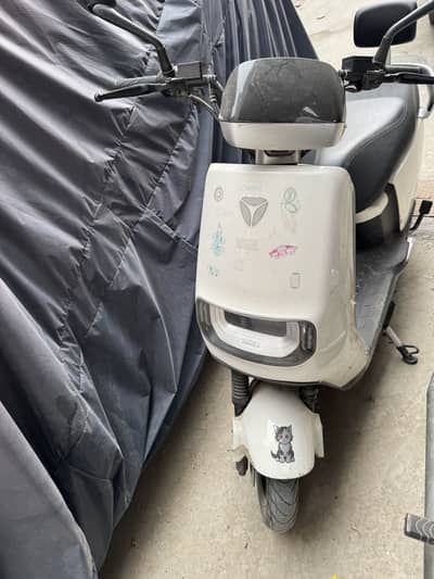 Yadea E8S Pro 2026 Registered