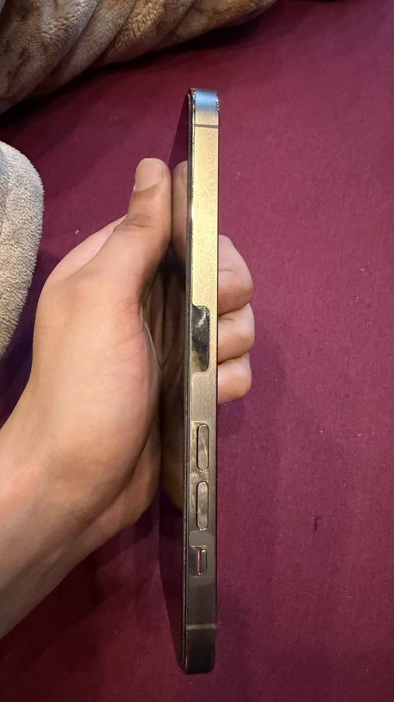 Apple iPhone 14 Pro Max 2
