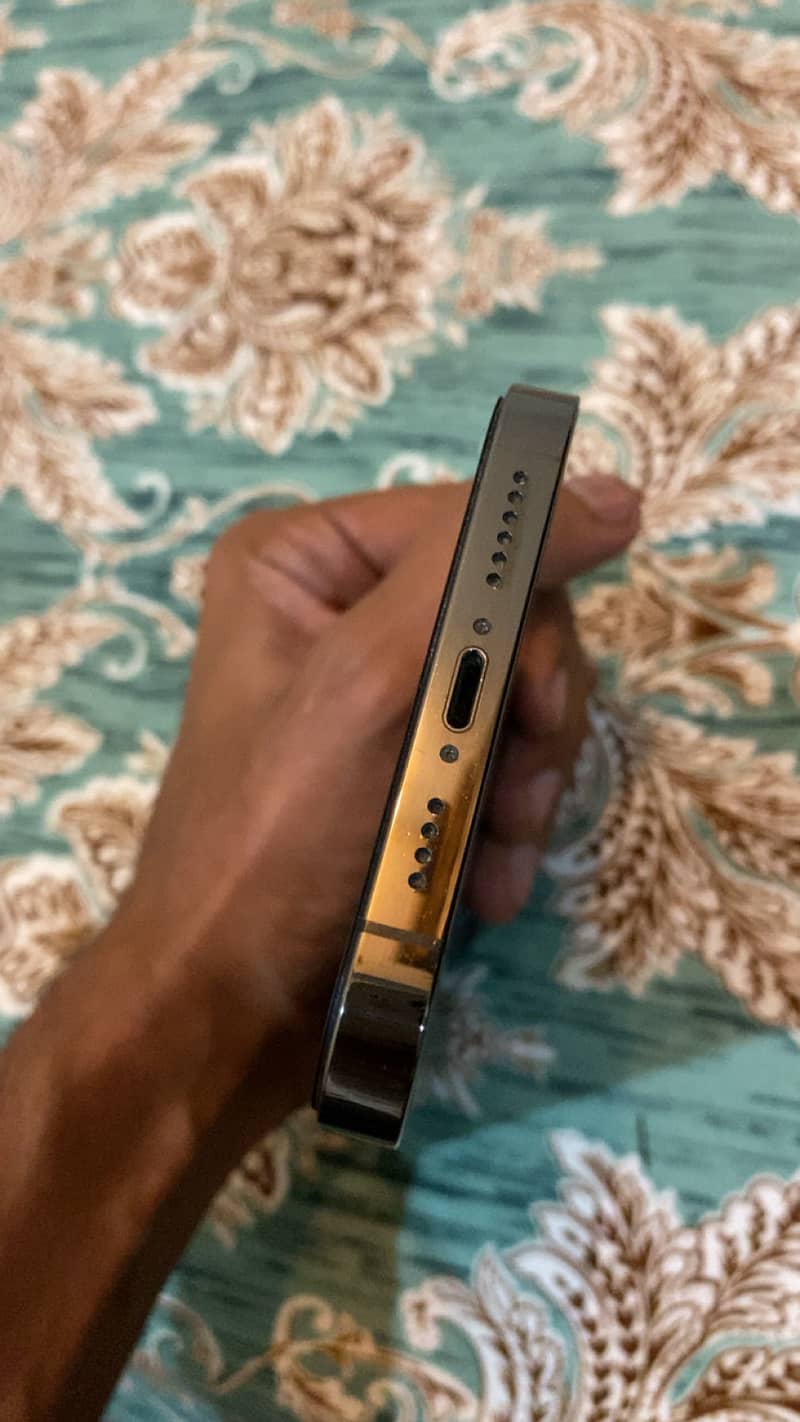 Apple iPhone 13 Pro Max 1
