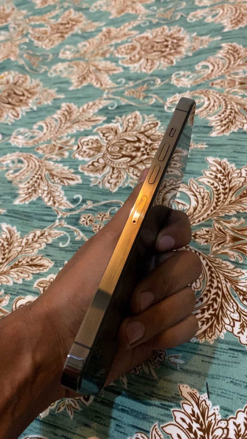 Apple iPhone 13 Pro Max 2