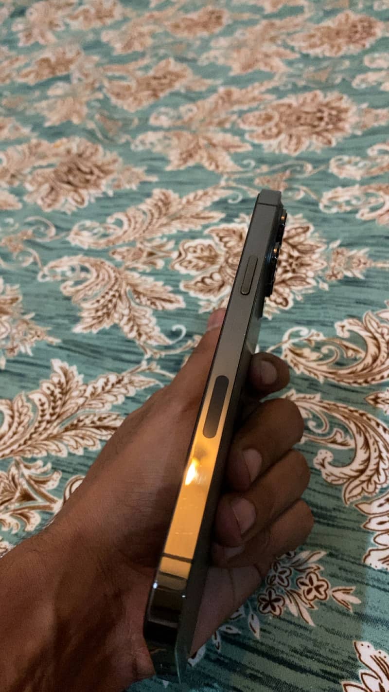 Apple iPhone 13 Pro Max 3