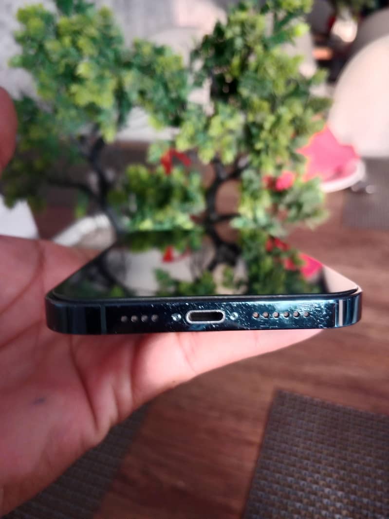 Apple iPhone 12 Pro Max 2