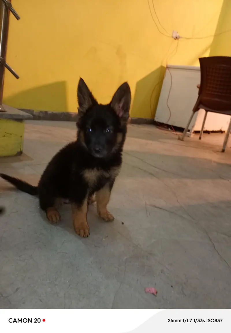jakie — photo 2