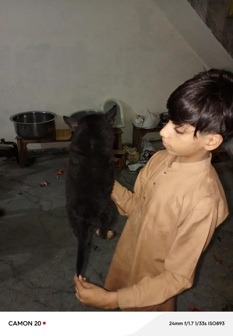 jakie — photo 3