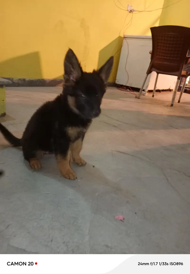 jakie — photo 6