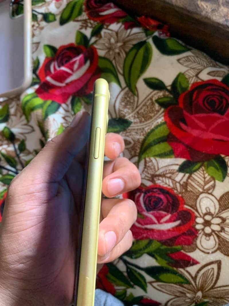 Apple iPhone 11 4