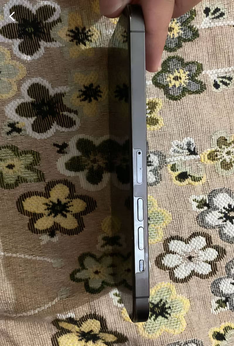 iPhone 13 Pro Max 2