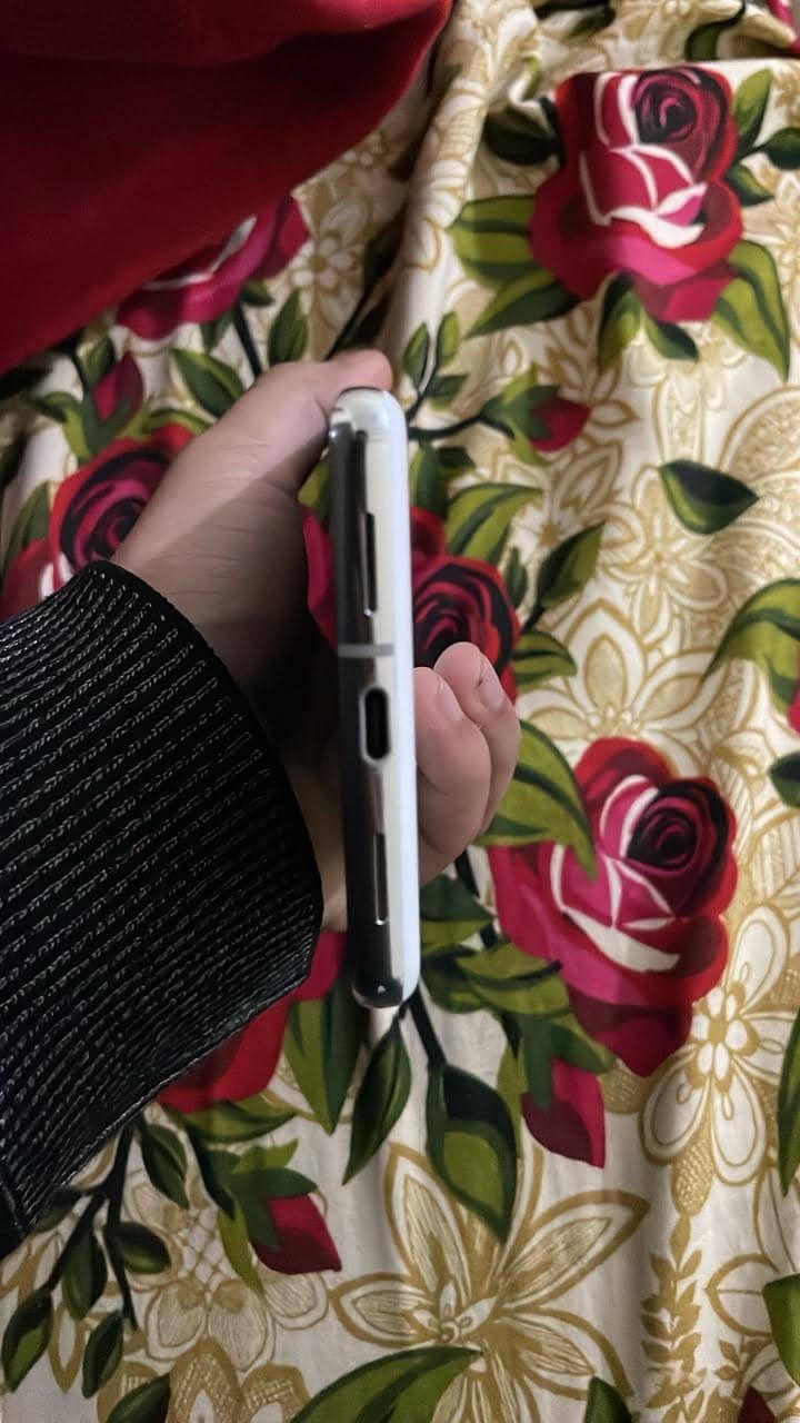 Google Pixel 7 Pro 1