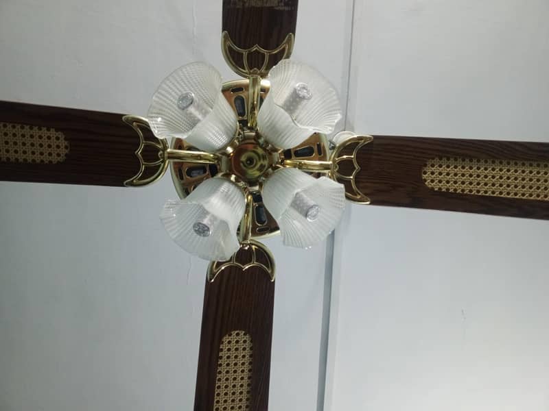 ceiling fan 1