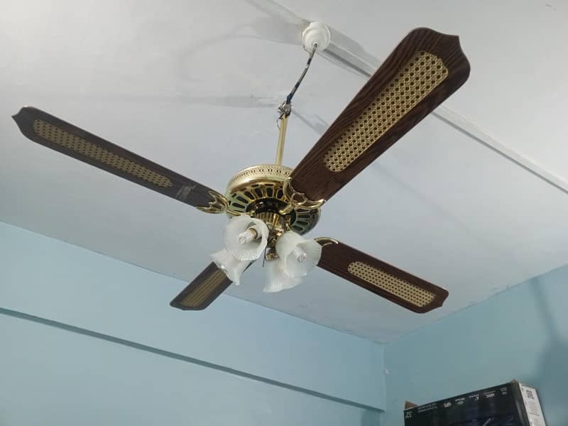 ceiling fan 3