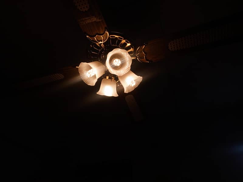 ceiling fan 5