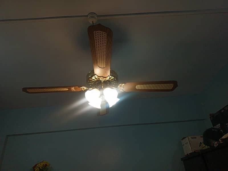 ceiling fan 7