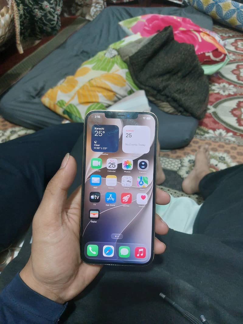 Apple iPhone 12 Pro Max 1
