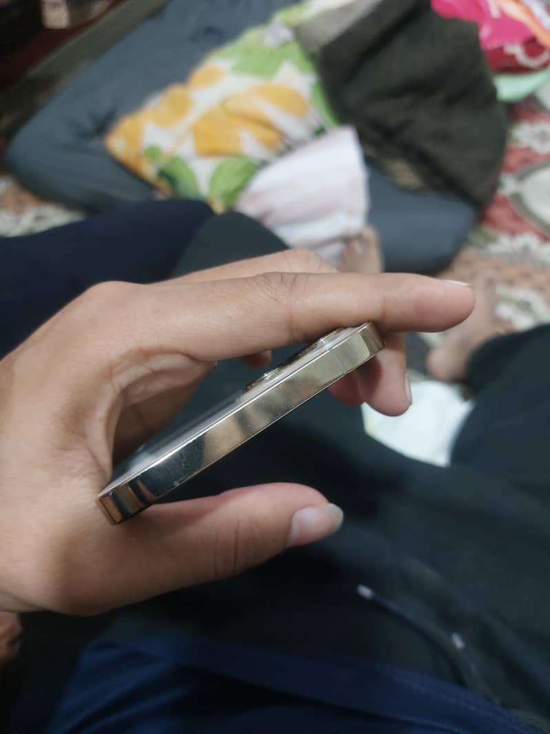Apple iPhone 12 Pro Max 2