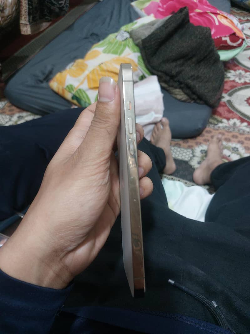 Apple iPhone 12 Pro Max 3