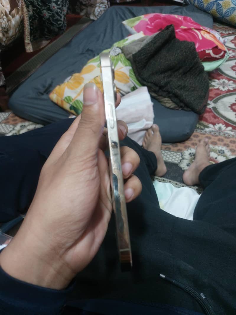Apple iPhone 12 Pro Max 5