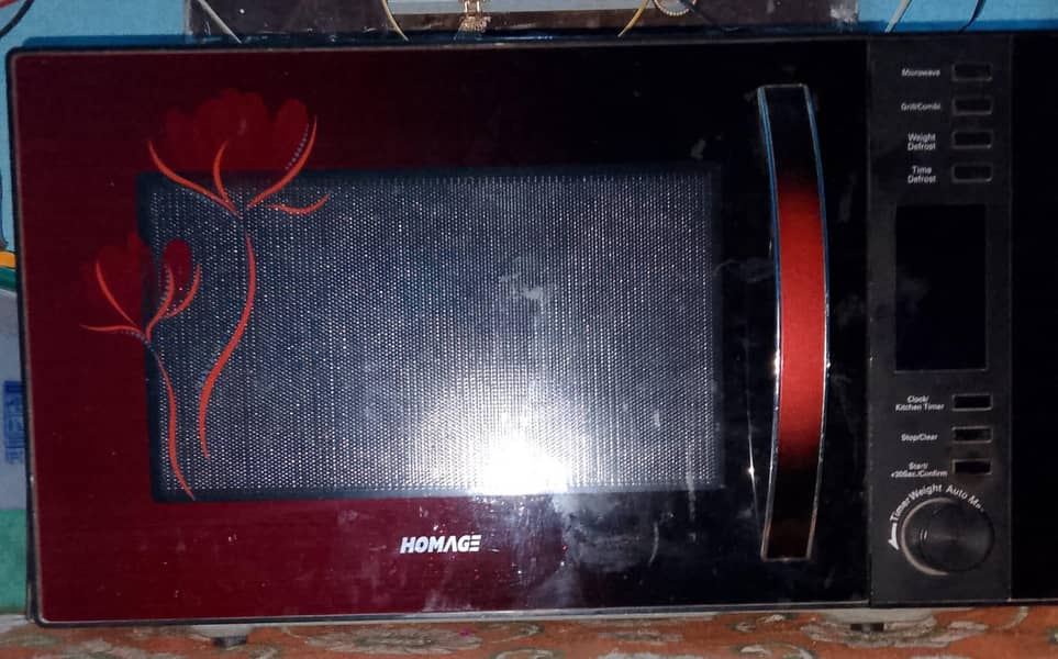 micro wave oven 2