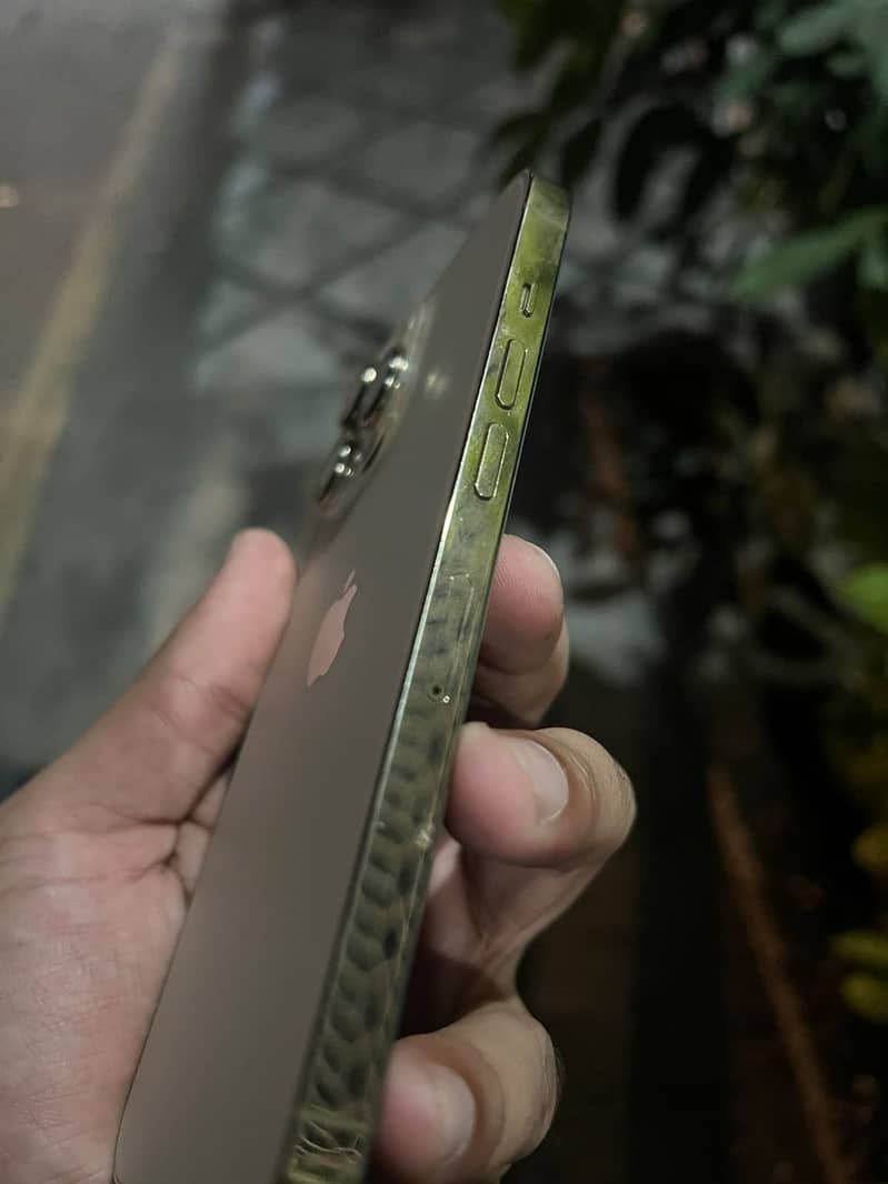 Apple iPhone 13 Pro 1