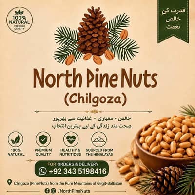 North pine nuts