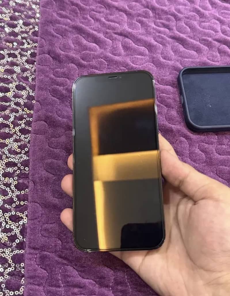 Apple iPhone 12 Pro Max 1