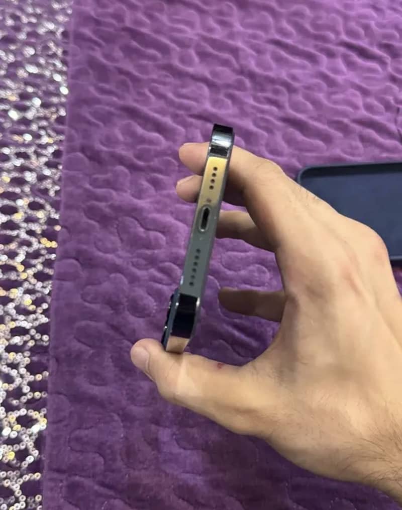 Apple iPhone 12 Pro Max 2