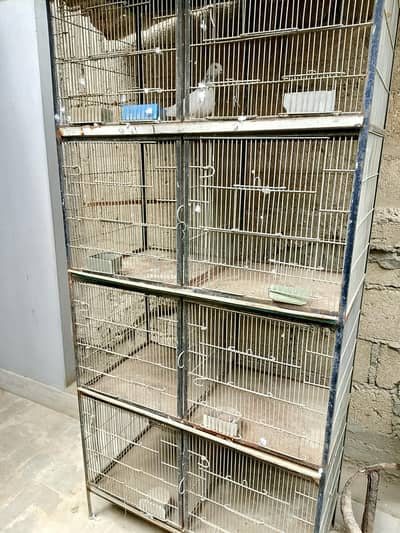 animal cage