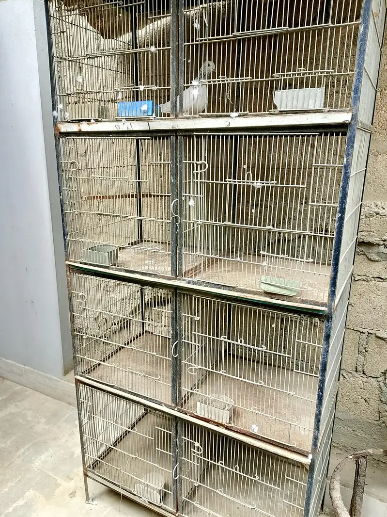 animal cage