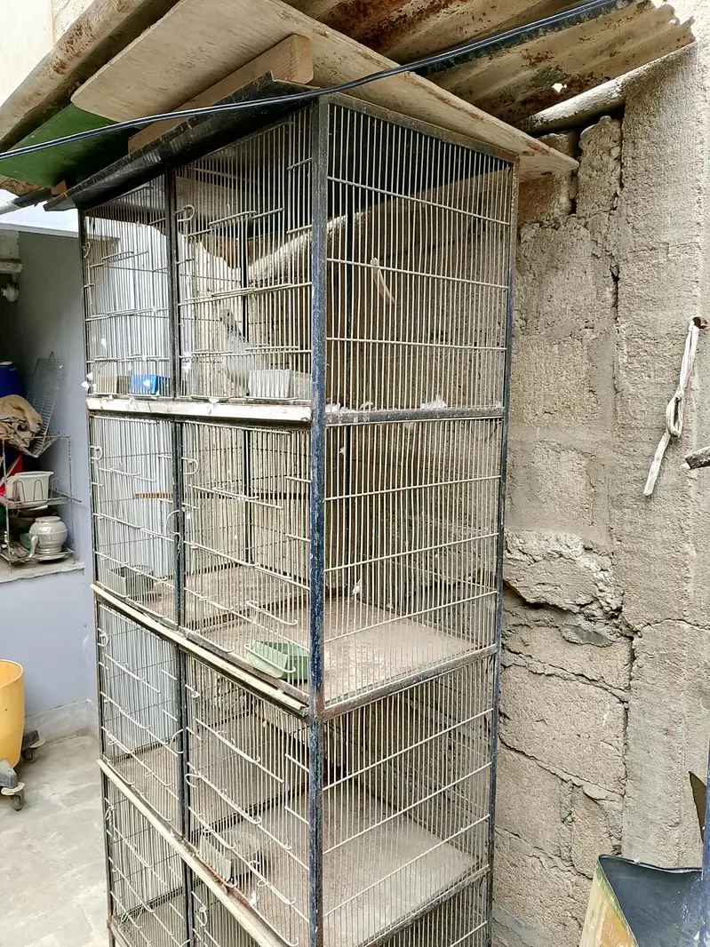 animal cage — photo 2