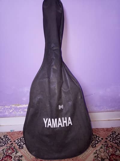 Acoustic Guitar Diamond Concert Cutaway