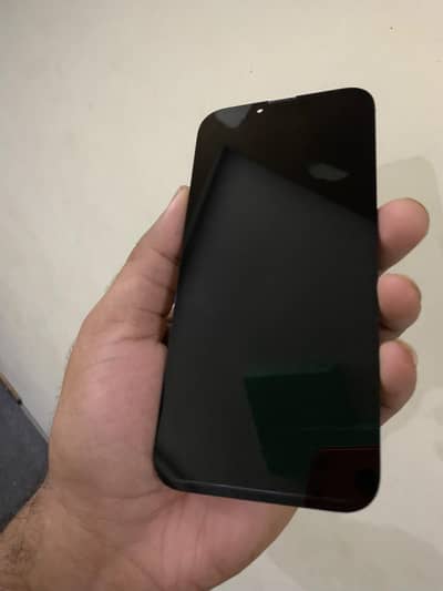 Apple iPhone 13 Pro Max panal