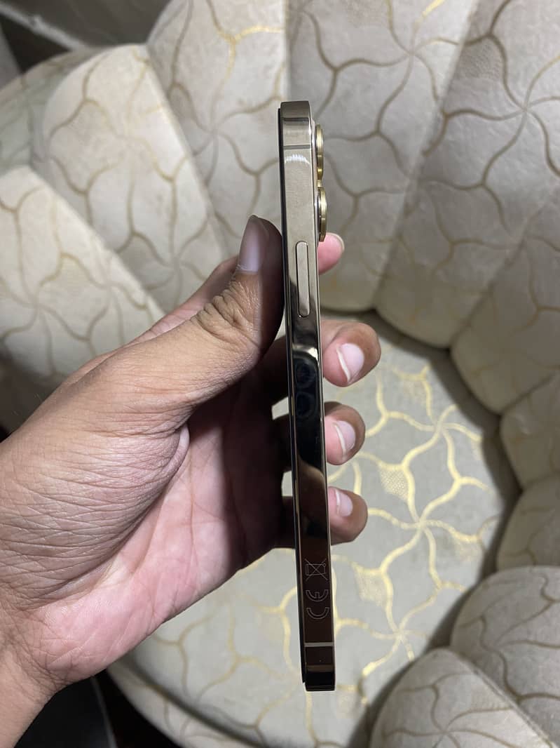 Apple iPhone 12 Pro 3