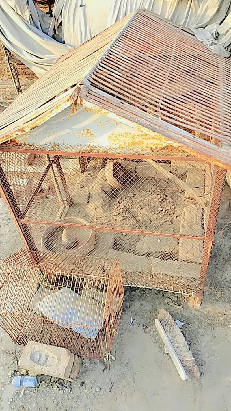 heavy iron cage for birds — photo 2
