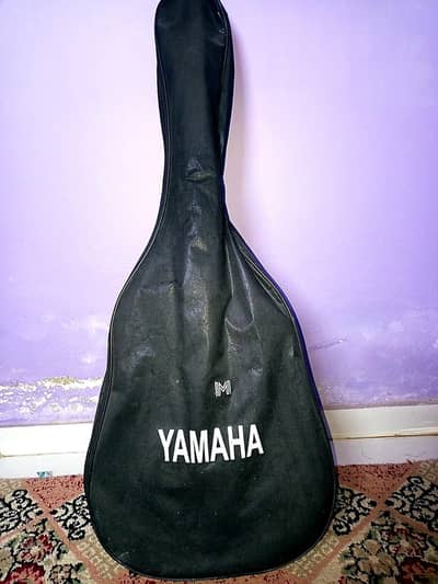 Acoustic Guitar Diamond Concert Cutaway