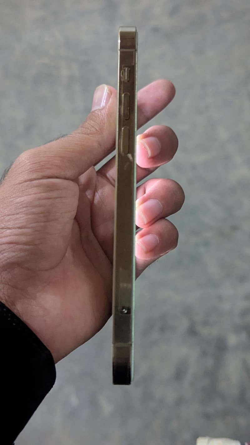 Apple iPhone 12 Pro 4
