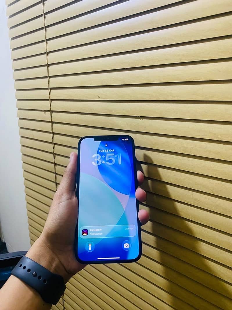 Apple iPhone 12 Pro Max 1