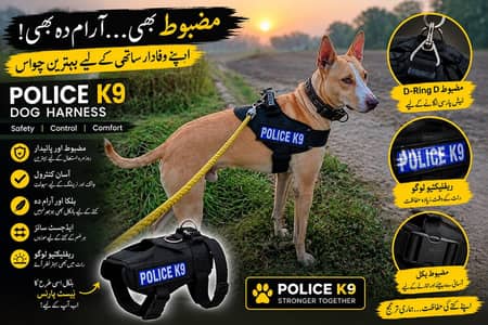 Dog harmless || Dog pati