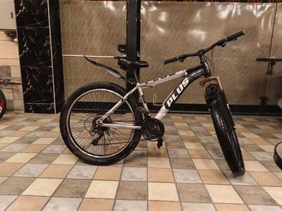 mountain bike