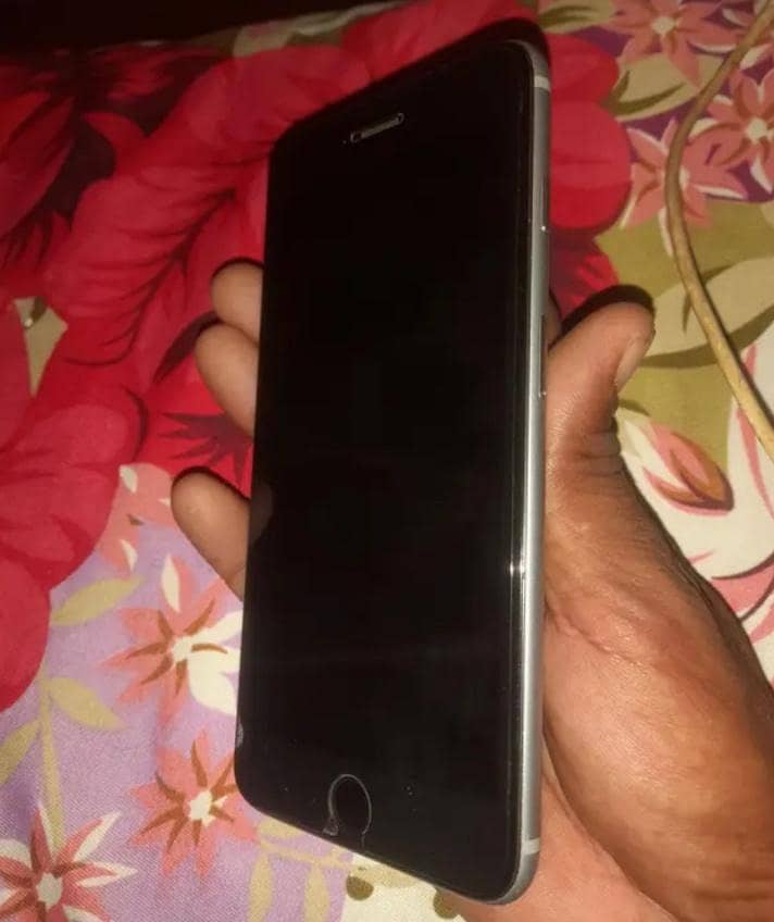 Apple iPhone 6S 0