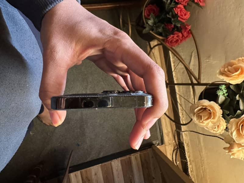 Apple iPhone 13 Pro 3