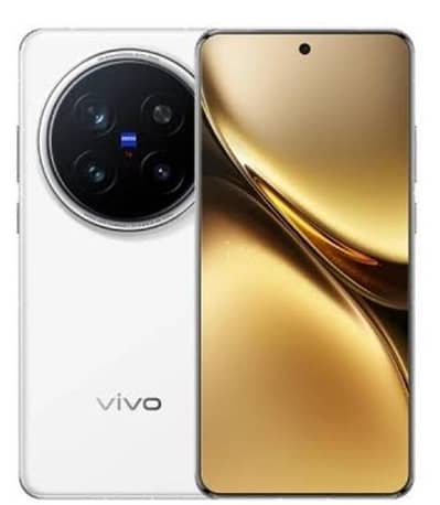 Vivo X100