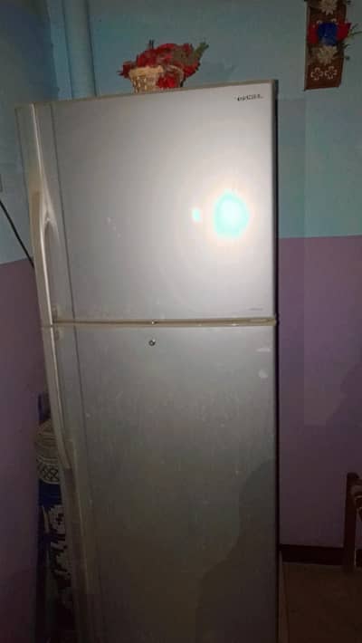 Toshiba No Frost fridge. Full size refrigerator no frost