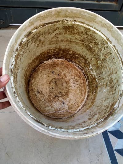 Plants pots in good condition