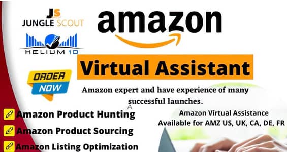 Amazon/Ebay Ecommerce store Manager