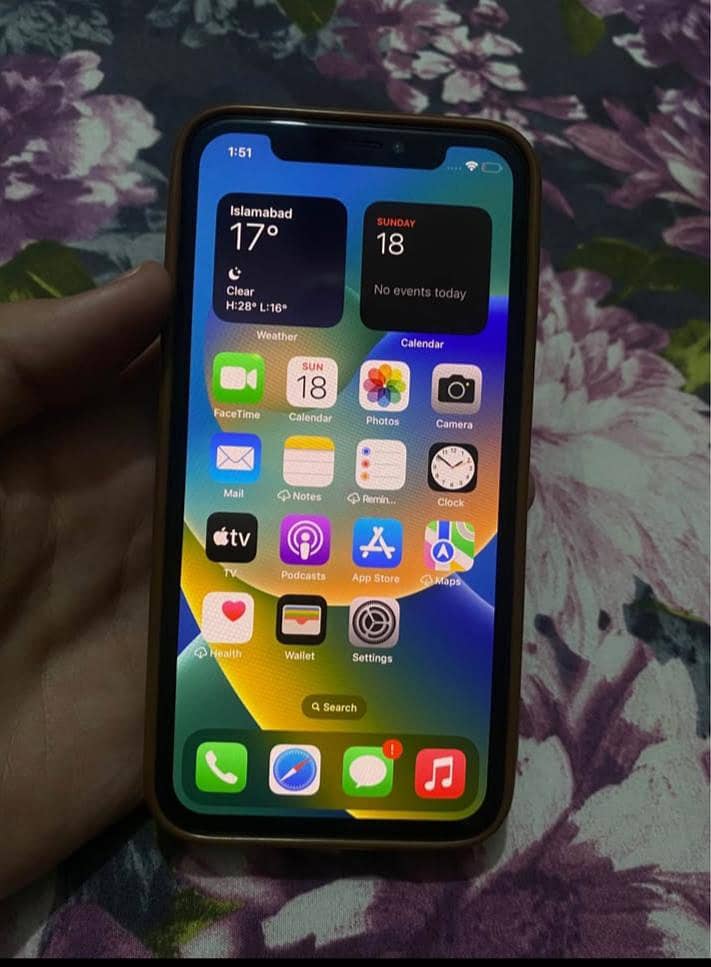 Apple iPhone X 1